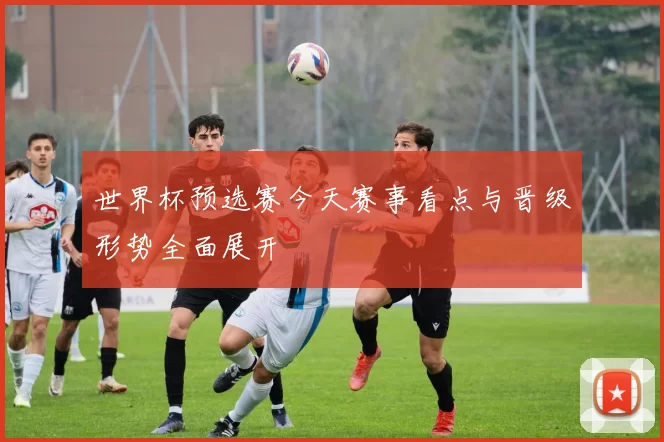 世界杯预选赛今天赛事看点与晋级形势全面展开