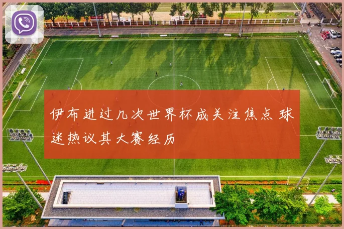 伊布进过几次世界杯成关注焦点 球迷热议其大赛经历