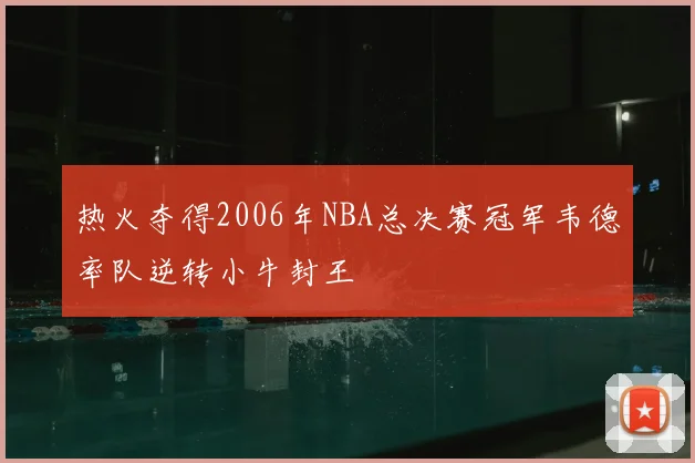 热火夺得2006年NBA总决赛冠军韦德率队逆转小牛封王