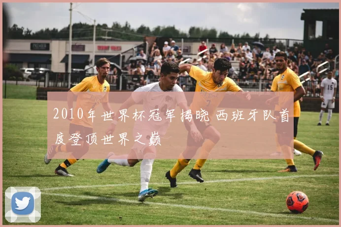 2010年世界杯冠军揭晓 西班牙队首度登顶世界之巅
