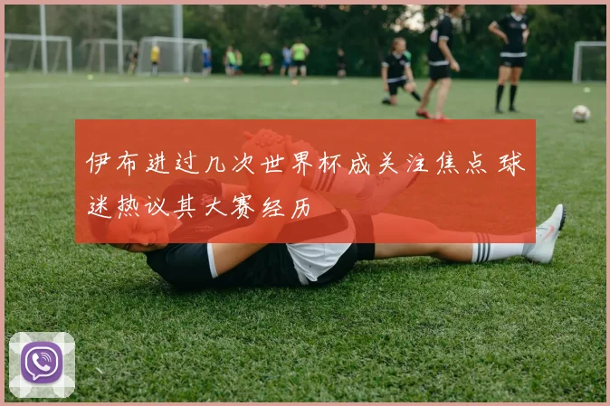 伊布进过几次世界杯成关注焦点 球迷热议其大赛经历