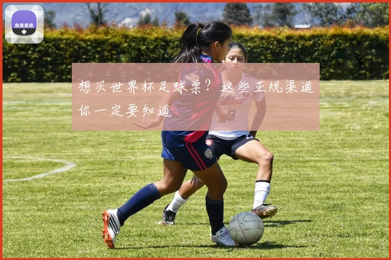 想买世界杯足球票？这些正规渠道你一定要知道