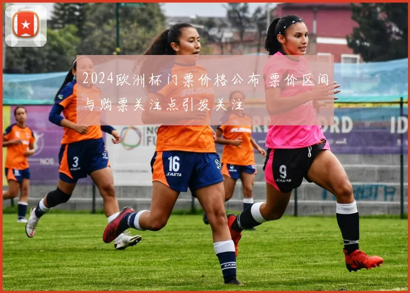 2024欧洲杯门票价格公布 票价区间与购票关注点引发关注