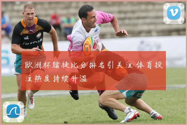 欧洲杯赌徒比分排名引关注 体育投注热度持续升温