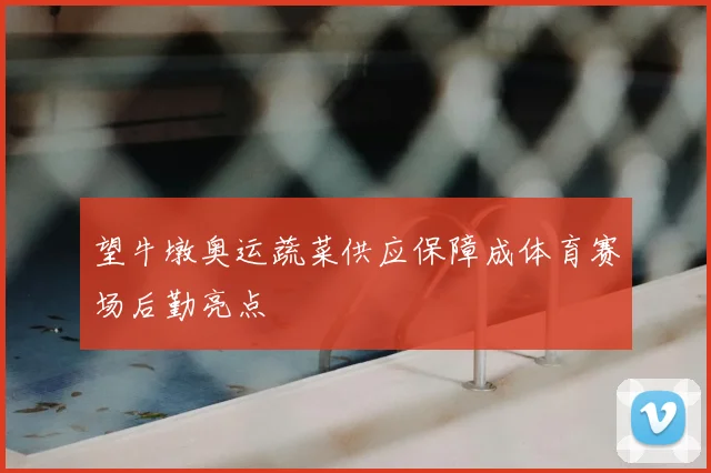 望牛墩奥运蔬菜供应保障成体育赛场后勤亮点